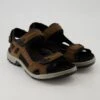 Ecco ECCO OFFROAD In Braun