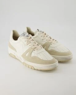 Archivio, 22 Sneaker In Beige