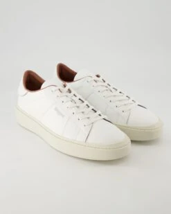 Blauer Staten In Weiß