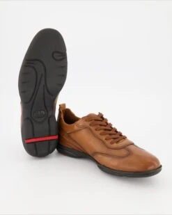 Lloyd BERN In Braun -Tretter Geschaft T 05540000549 pic12