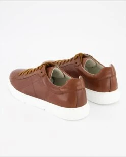 Pius Gabor Schnürschuh In Braun 7 Pius Gabor Schnürschuh In Braun -Tretter Geschaft T 05540000556 pic3