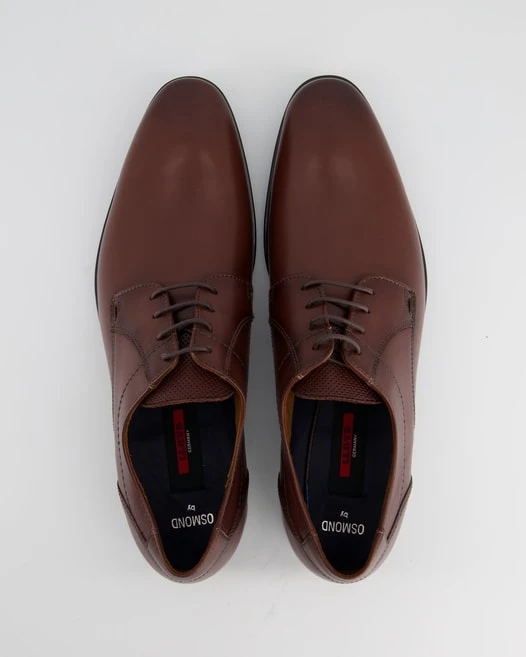 Lloyd OSMOND In Braun 4 Lloyd OSMOND In Braun – Bild 4