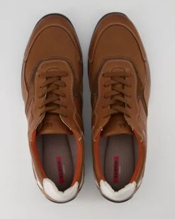 Lloyd BALTIMORE In Braun -Tretter Geschaft T 05540000769 pic11