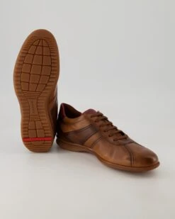 Lloyd DAVOS In -Tretter Geschaft T 05540000771 pic12