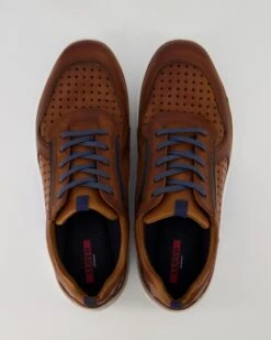 Lloyd ABOTT In Braun -Tretter Geschaft T 05540000772 pic11