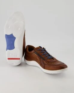 Lloyd ABOTT In Braun -Tretter Geschaft T 05540000772 pic12