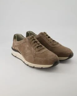 Pius Gabor Sneaker In Beige
