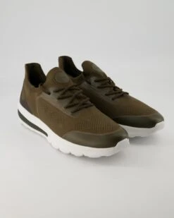 Geox U SPHERICA ACTIF In Grün