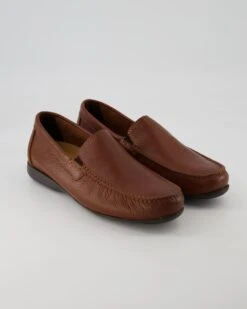 Sioux Gilles-H In Braun