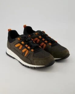 Geox U DORAY In Grün