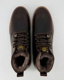 Panama Jack Schnürboots In Braun -Tretter Geschaft T 08040091427 pic11