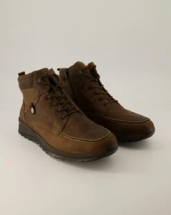 WALDLÄUFER Waldläufer Helle In Braun