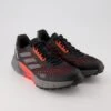 Adidas Terrex Agravic Flow 2 In Schwarz